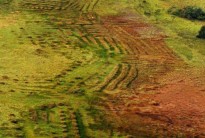 une histoire agricole de la Guyane : Cultiver sans bruler en Amazonie