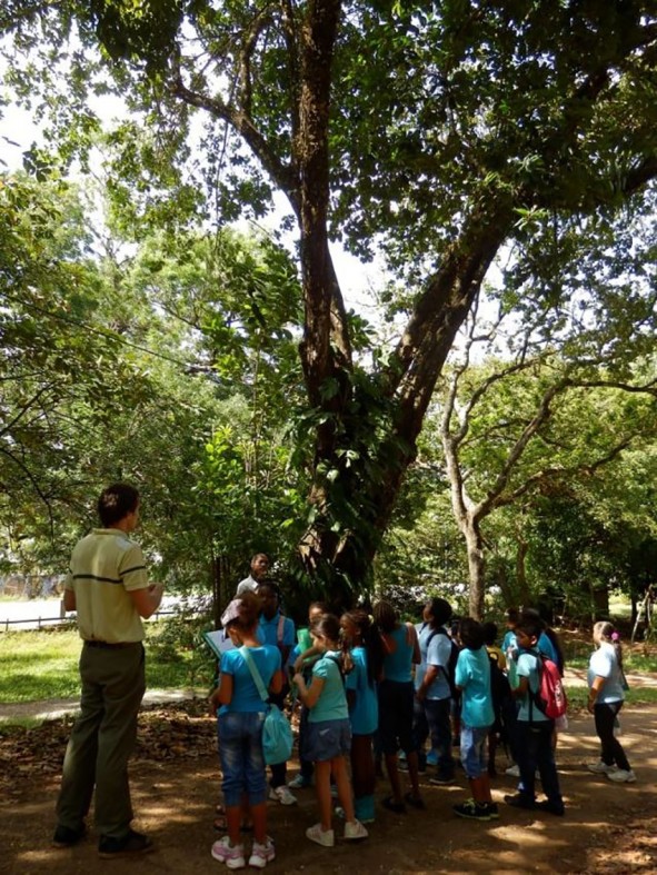 Fête de la science à Cayenne : Multi-animations, Montabo