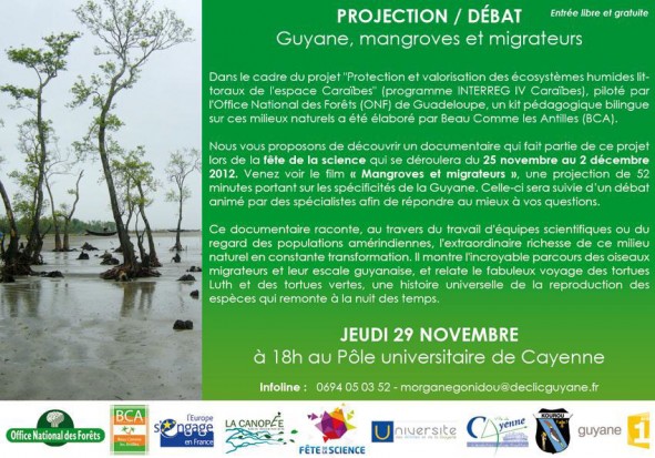 Fête de la Science en multisites : Projection « Guyane, mangroves et migrateurs »