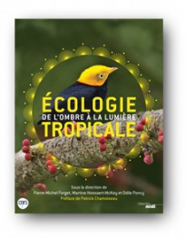 Écologie tropicale : de l’ombre à la lumière