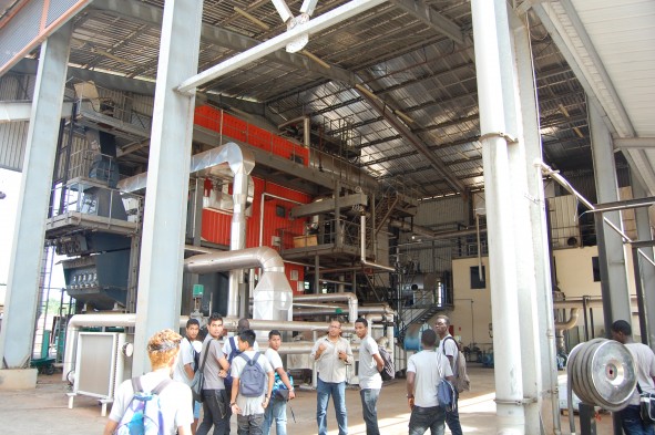 Visite de la centrale Biomasse