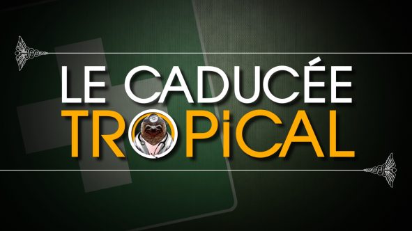 Projet vidéo: Pathologies Tropicales