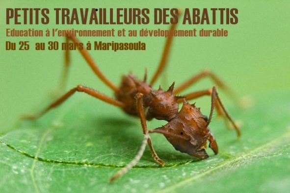 Petits travailleurs des abattis