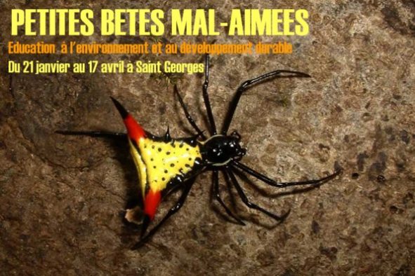 Petites bêtes mal aimées