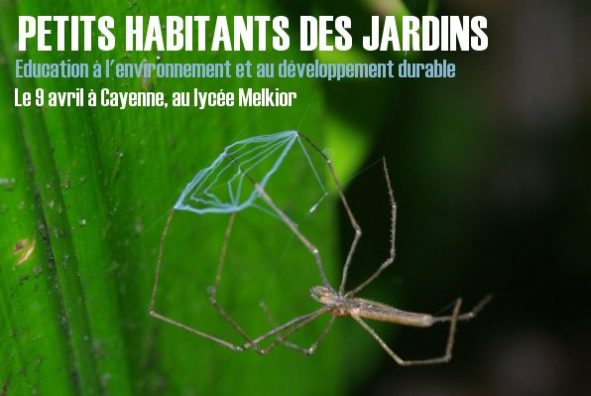 Petits habitants des jardins