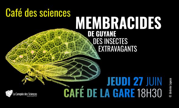 Café des Sciences, les membracides de Guyane