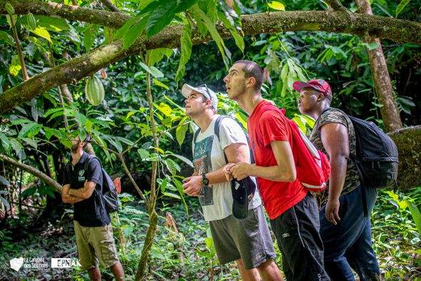 Sorties naturalistes