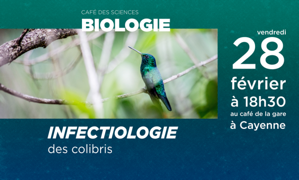 Café des Sciences – Infectiologie des colibris