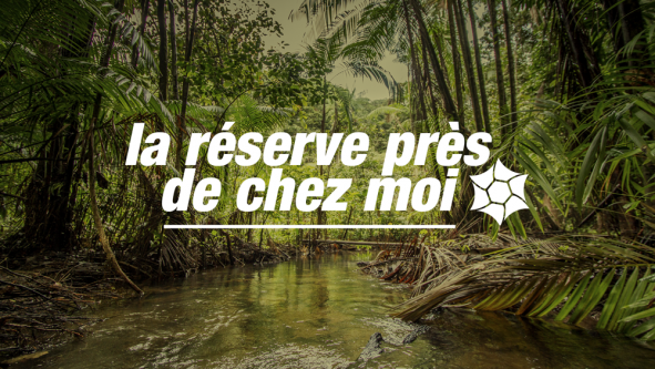 Fête de la nature en Guyane – La réserve naturelle nationale du Mont Grand Matoury