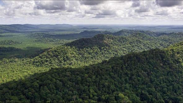 Mission Trois Pitons : une expédition scientifique au nord-est de la Guyane