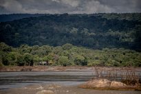 Civilisations précolombiennes : la fin du mythe de la forêt vierge