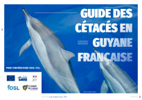 Le guide des Cétacés de Guyane