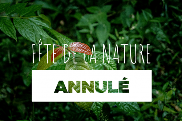 Fête de la nature 2021