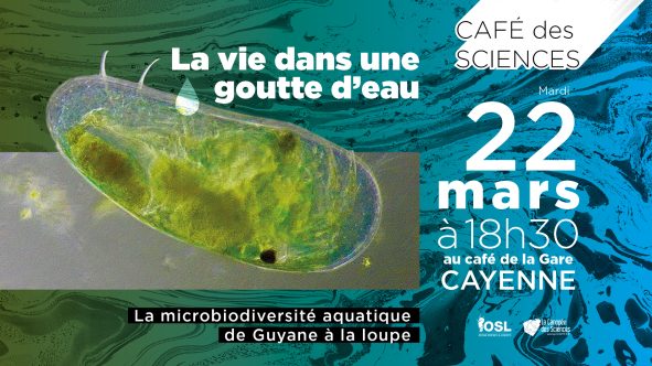 Journée mondiale de l’eau – Café des Sciences