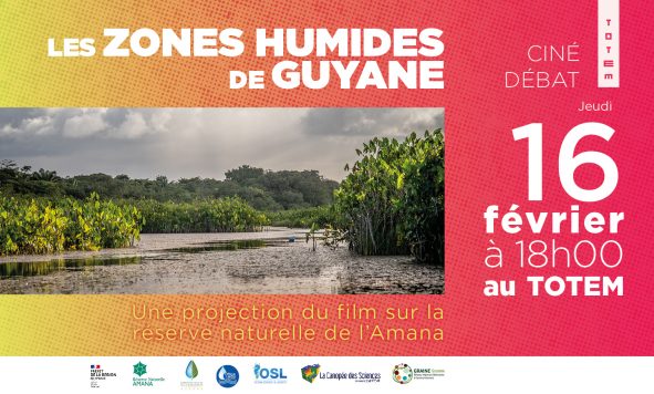 Soirée ciné – débat : les zones humides de Guyane