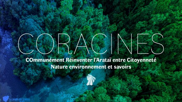 CORACINES – un projet d’envergure dédié à la culture scientifique en Guyane