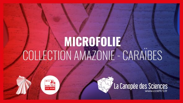 « Caraïbes, Guyane-Amazonie » pour les Micro-Folies