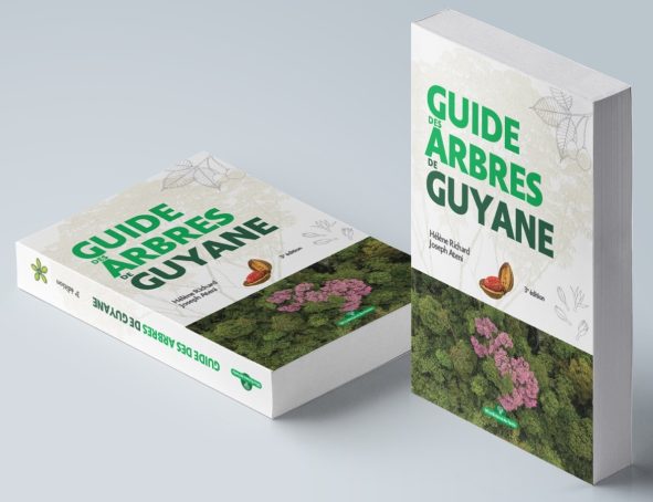 Un nouveau guide pour les arbres