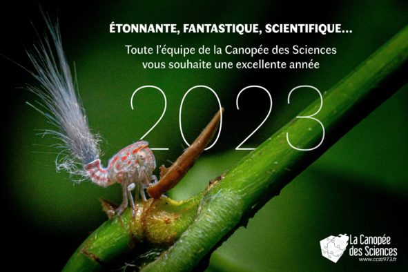 2023 – Une belle année pleine de découverte