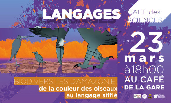 Café des Science – Langages