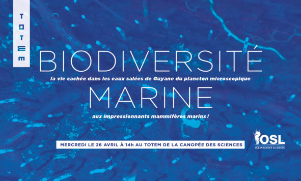 Les mercredis du TOTEM – Biodiversité marine