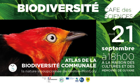 Café des Sciences  – ABC, à la découverte de la biodiversité insoupçonnée de Rémire-Montjoly