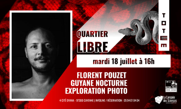 Quartier libre à Florent Pouzet : Guyane nocturne